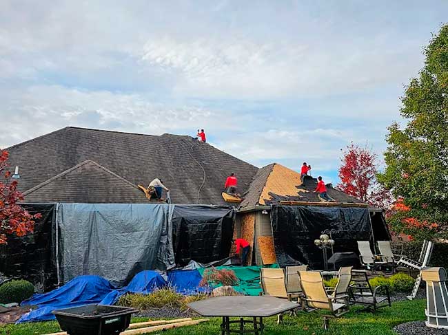 Roof Repair in Daleville
